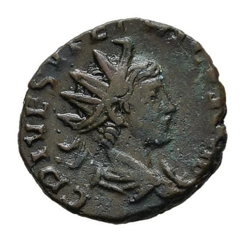 Mgs antico tetricus - mgs,
