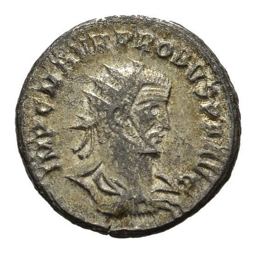 Mgs antico probus - antico,