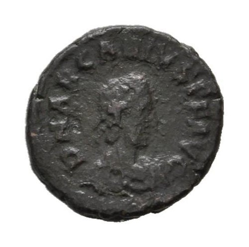 Mgs antico arcadio - antico,